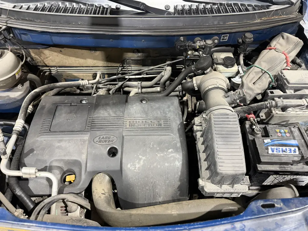 IMG_0134.webp