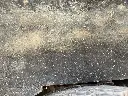 IMG_0543.webp