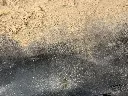 IMG_0542.webp