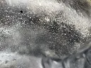 IMG_0583.webp
